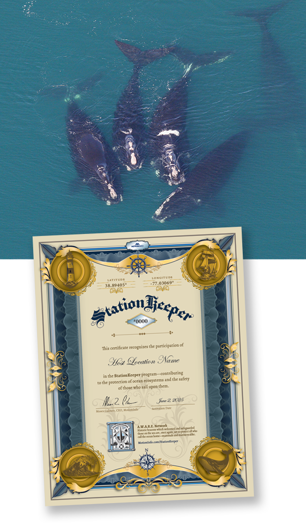 img-whaleandcert
